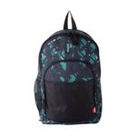 PACK-CARORA-ODDE