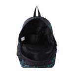 PACK-CARORA-ODDE